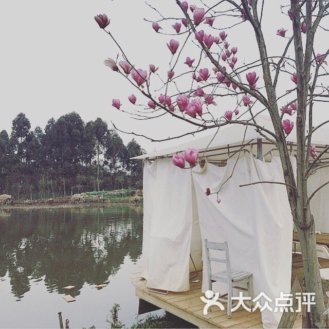 百花深处怎么样,好不好的默认点评-成都-大众点评网