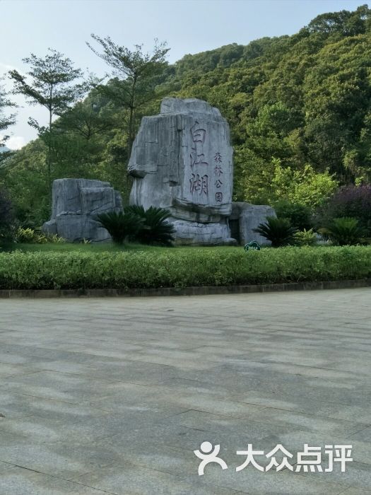 白江湖森林公园图片 第5张