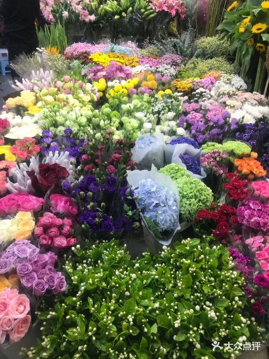 虹桥花卉市场图片