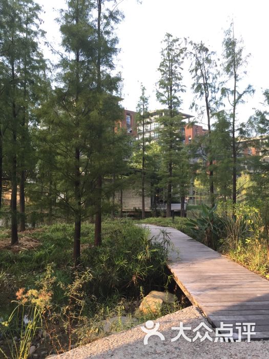 泰华梧桐岛-图片-深圳生活服务