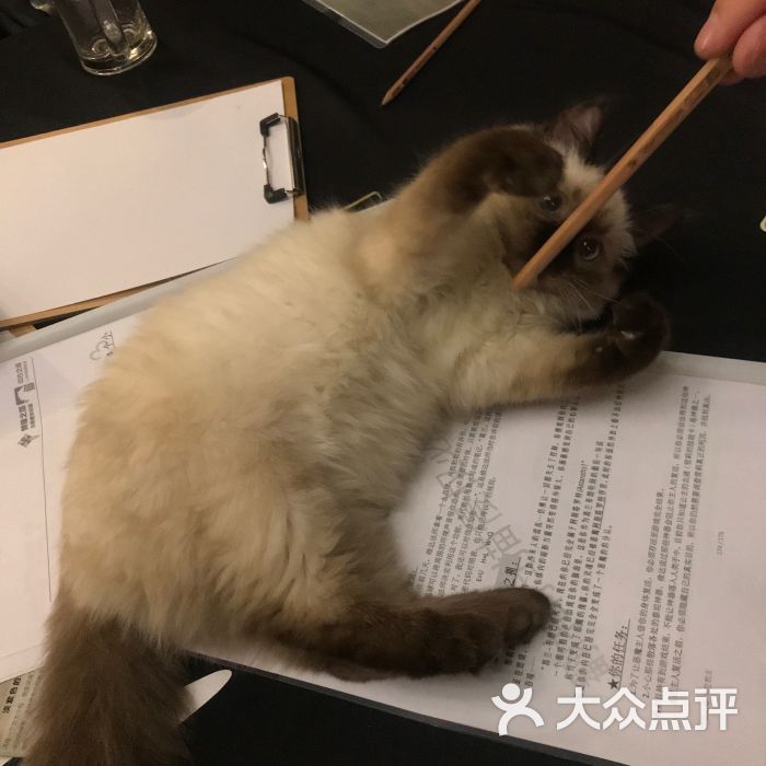 左先生探案馆:特别感谢老板发的福利,周一临时