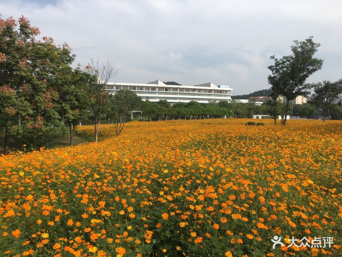 南京中医药大学(仙林校区)图片