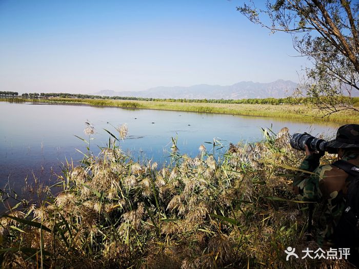 野鸭湖国家湿地公园图片