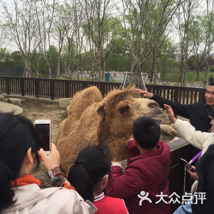 上方山森林动物世界图片-北京动物园-大众点评网