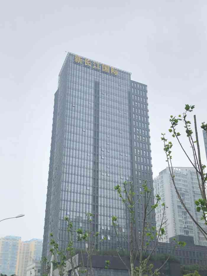 新长江国大厦-"既有新长江国际 也有新长江地产一.