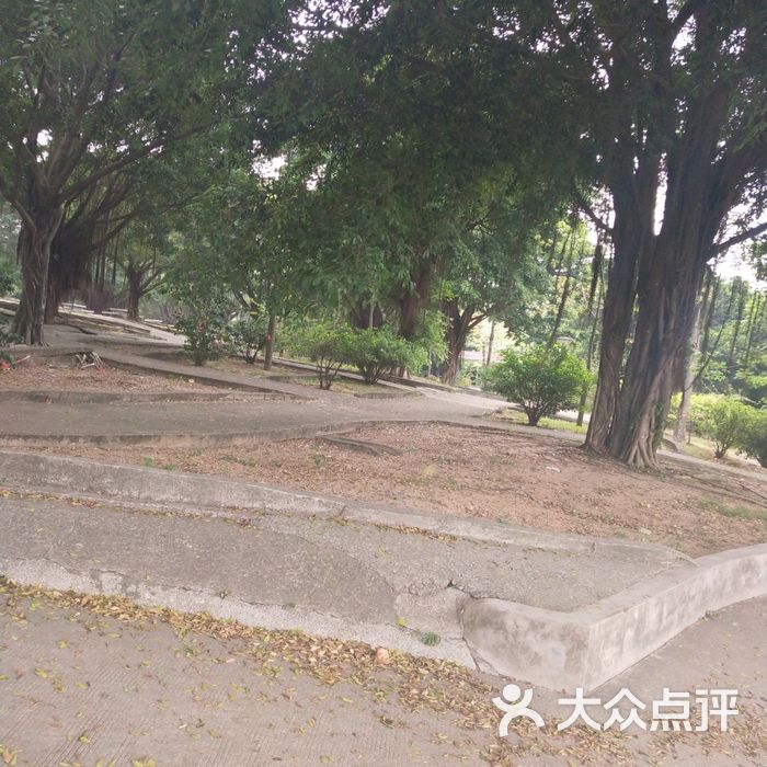 旧水坑森林公园