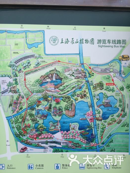 上海植物园郁金香花卉