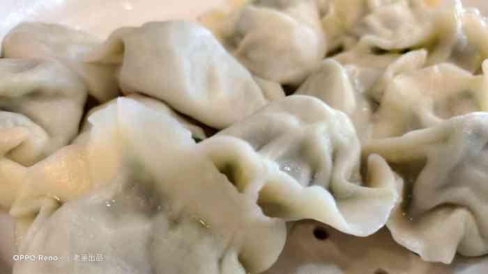 双喜饺子馆"这家饺子超级好吃,一进门就能看到阿姨在包.