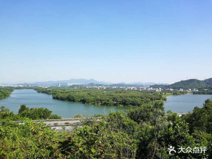 博雅山房-图片-从化区美食-大众点评网