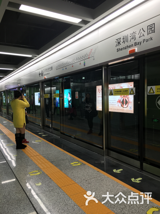 深圳湾公园地铁站图片 第5张