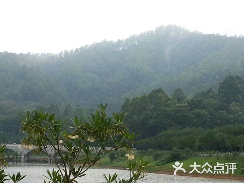 番禺大夫山森林公园旅游区图片 - 第5张