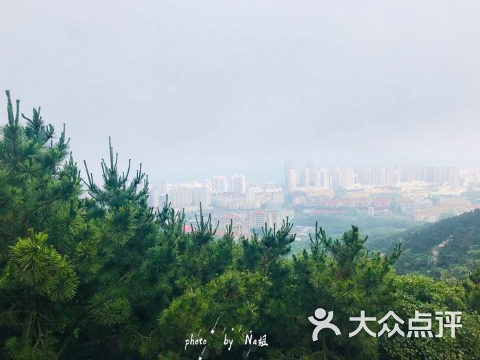 浮山森林公园图片 - 第5张