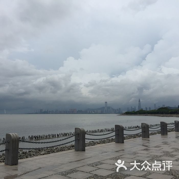 深圳湾公园地铁站