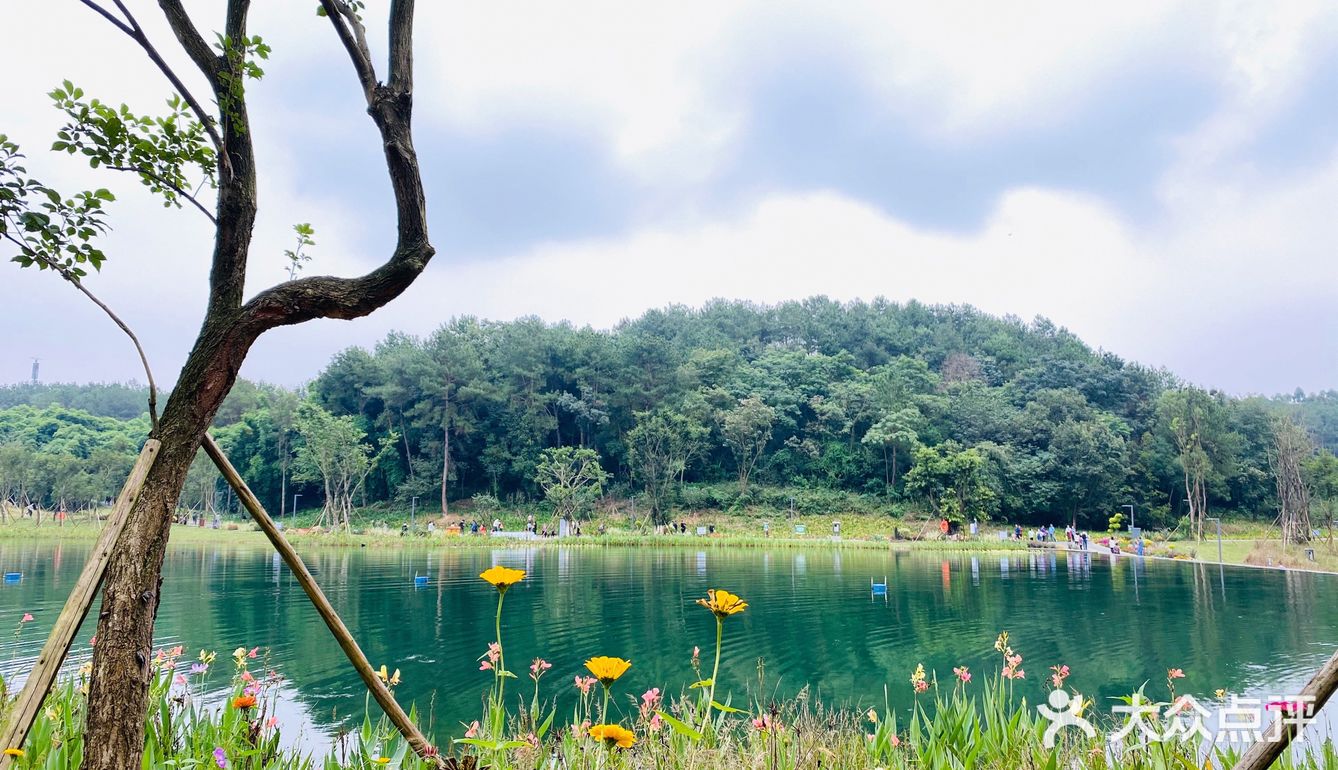 给你惊喜的永安湖森林公园