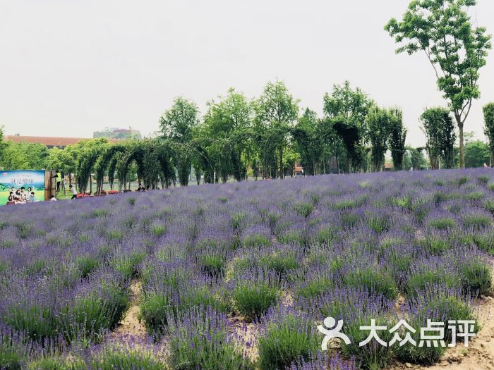 莫斯利安香草园