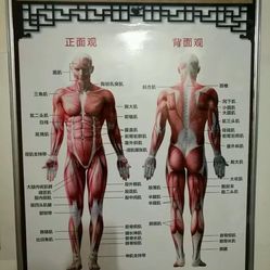 专业理疗养生 EG4I_mJuxI_l9D5DdWIuxCIyPJl7ZjYHmAP9XSdRB5y6yDO85r4c9iK1SxJXYVNnF5u7J_jS4MuCaeLAHD0KTg.jpg