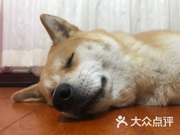 生无可恋 我想静静