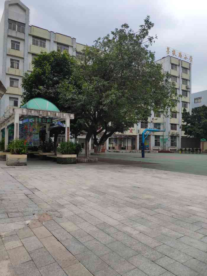 广州市海珠区菩提路小学沙园校区