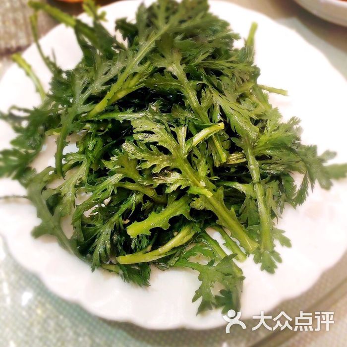迪迪威尔 小宇宙可劲儿造 小宇宙可