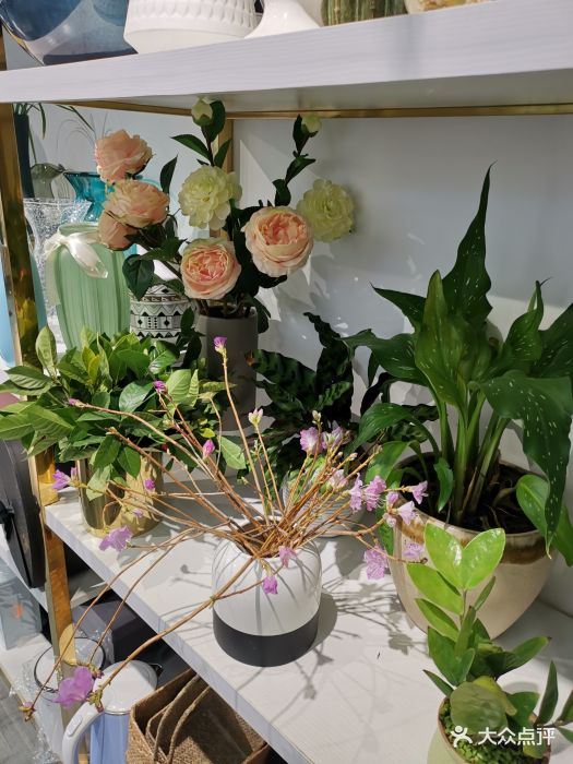 德信官方网站插花常用花材doc