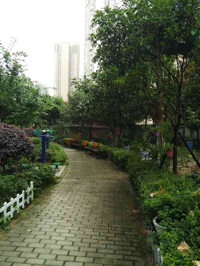 府青惠园-"这个小区听说是安置房,别家拆迁以后修的,.