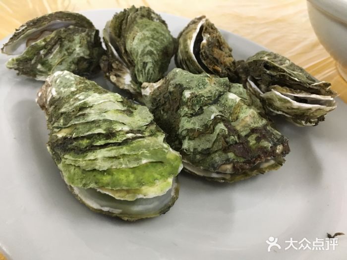 老县城揭阳饭店-白灼生蚝图片-南澳县美食-大众点评网