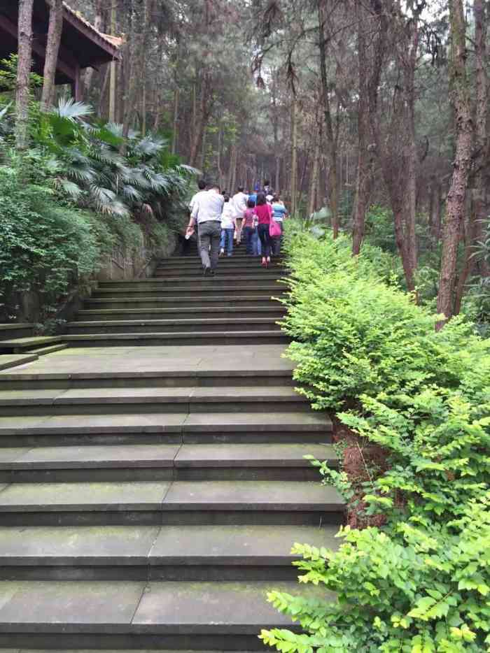 铁山坪健身步道-"春暖花开阳光灿烂笑容背后一套很的.