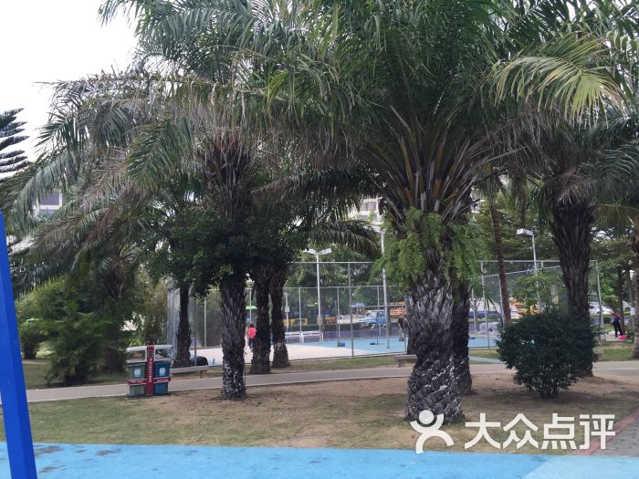 城市乐园-图片-三亚景点