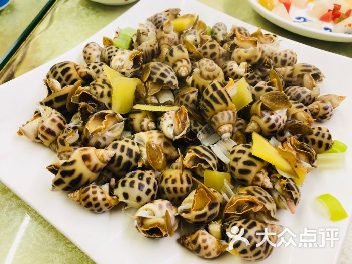 威海荣成海鲜图片 - 第14张