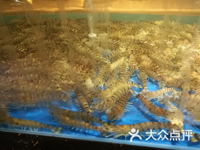 光明渔港(中铁店)图片 - 第4张