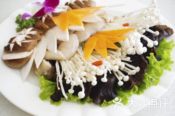 枫火牧歌特色火锅菌类拼牌图片 - 第314张