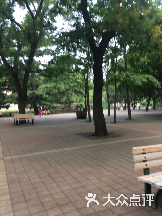 东单公园图片 - 第3张