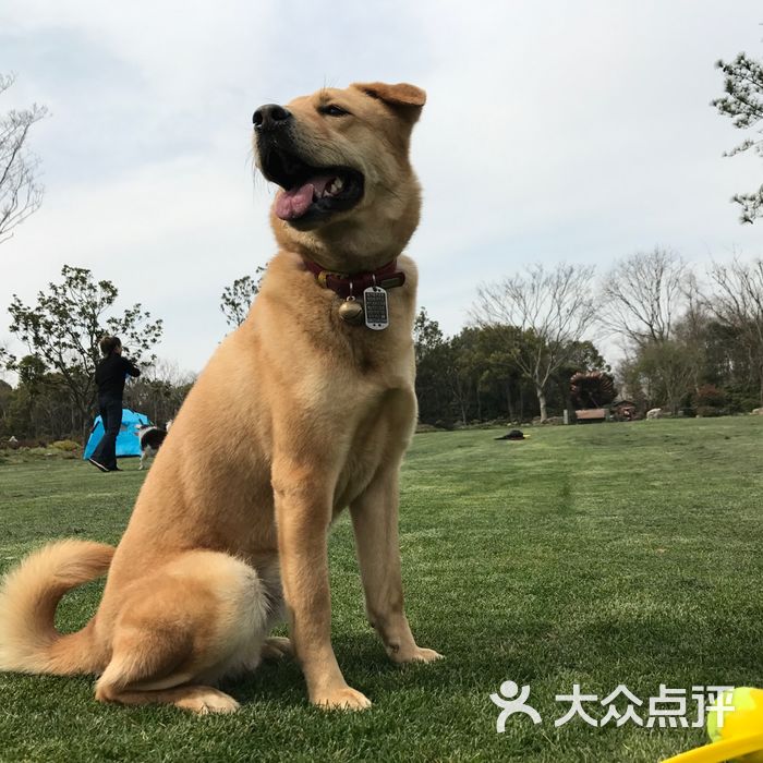 上海海湾国家森林公园