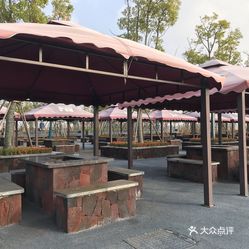 春花秋色城市公园