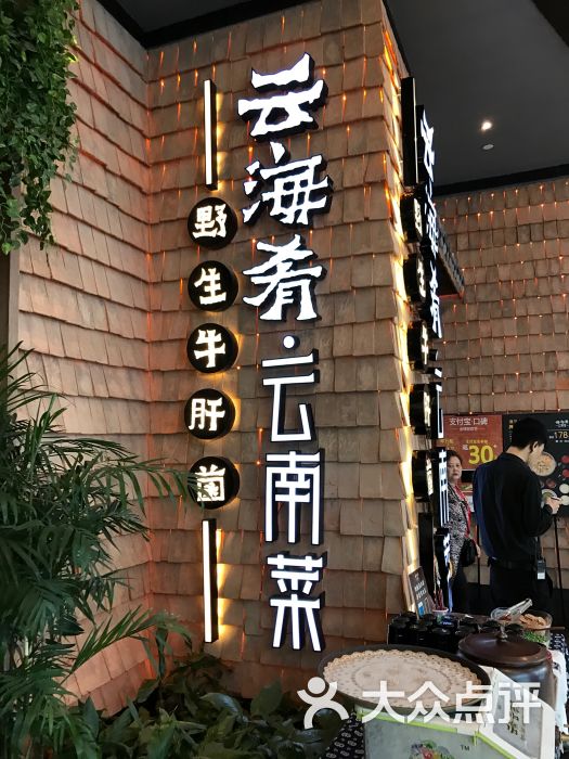 云海肴云南菜(海岸城店)图片 第3张