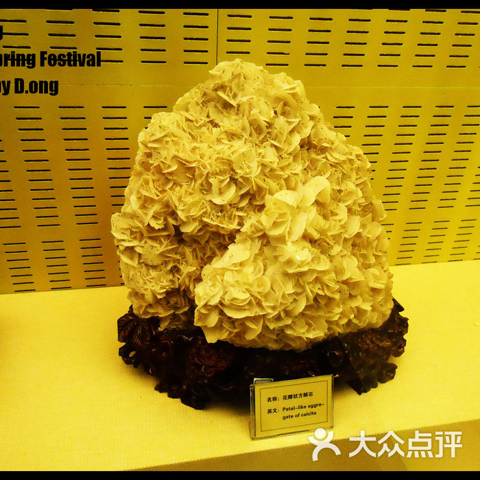 南京地质博物馆
