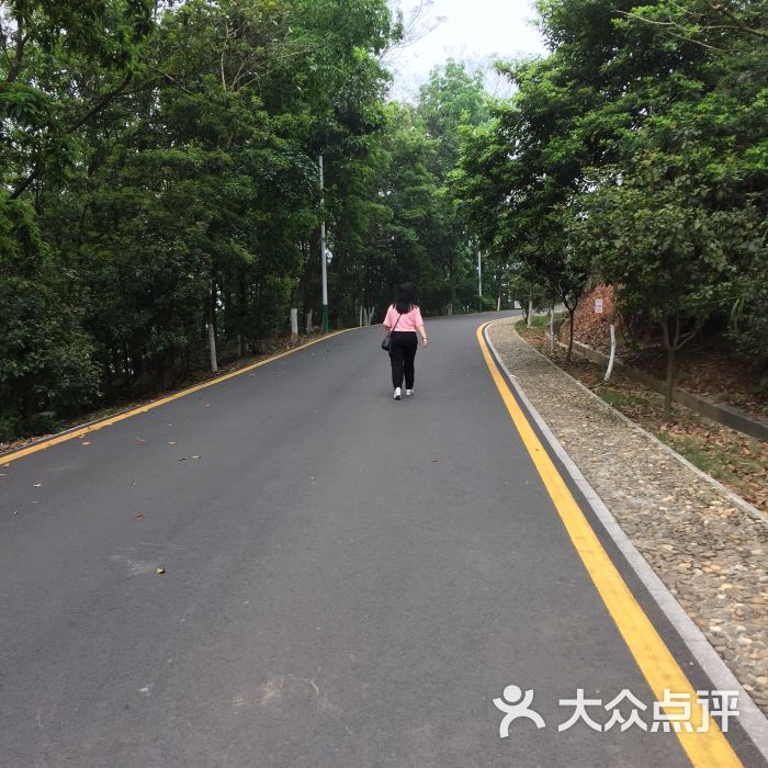蕉石岭森林公园图片 - 第2张