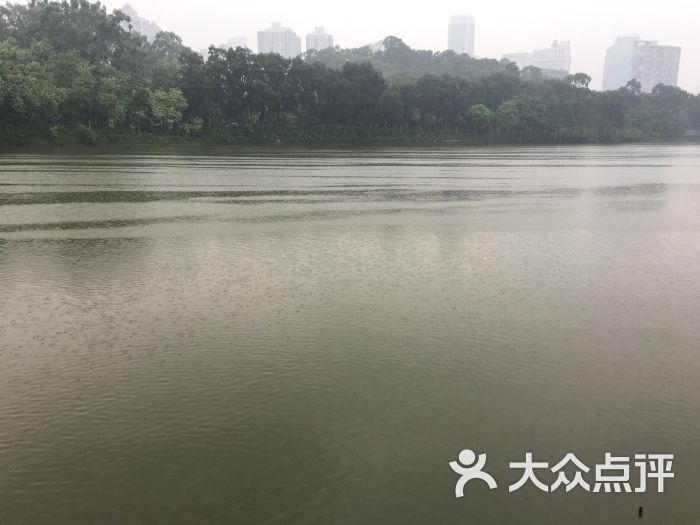 越秀区 麓湖公园 粤菜 粤菜馆 鹿鸣酒家 所有点评  08-13