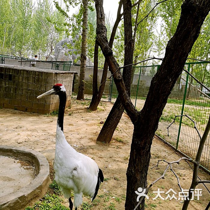 红螺湖鸟岛