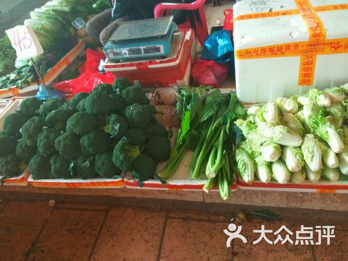 台涌蔬菜批发市场-图片-广州生活服务-大众点评网