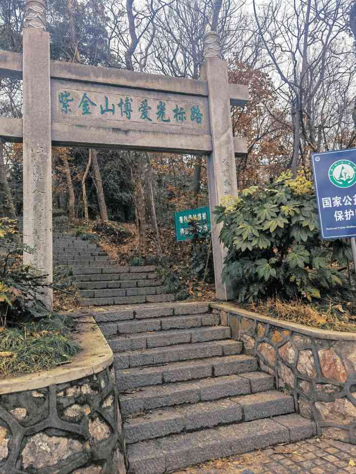 紫金山山顶公园-"兜兜转转三爬紫金山 这次是在苜蓿园下地.