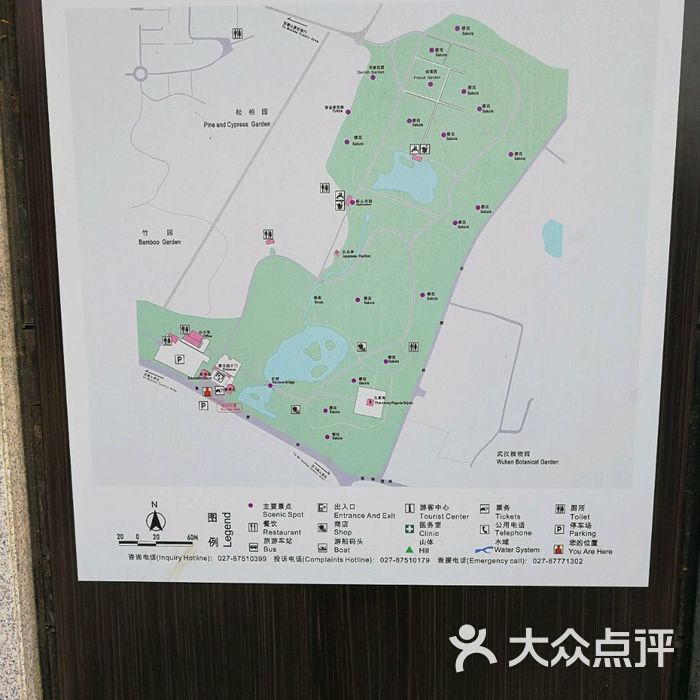 东湖磨山樱花园