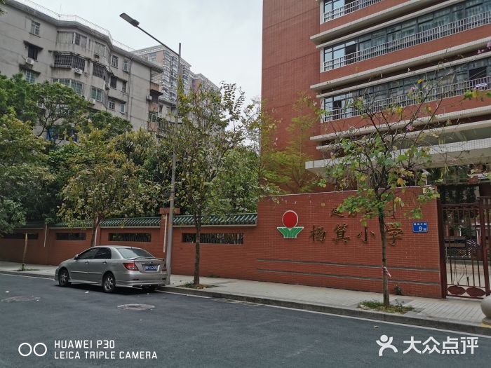 杨箕小学图片