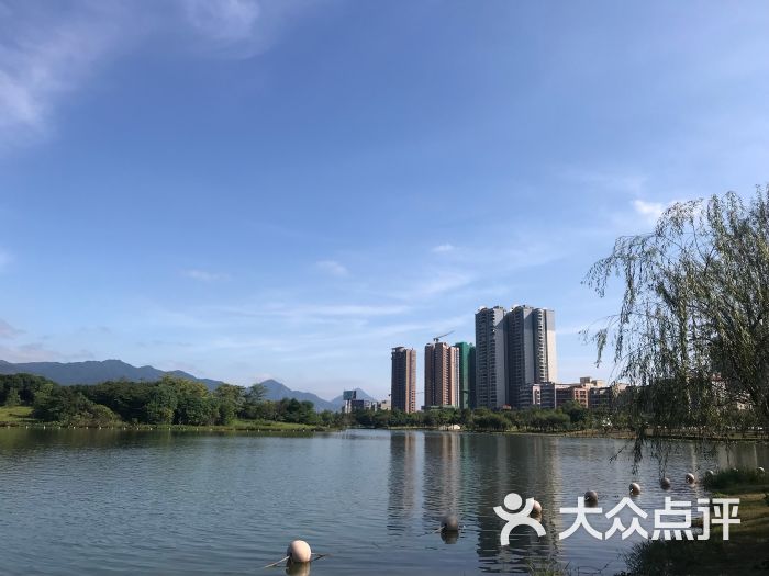 飞来湖湿地公园-图片-清远景点/周边游-大众点评网