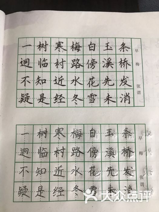 赵汝飞练字硬笔书法(南翔校区)图片 - 第2张