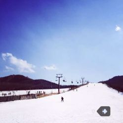 万泰国际旅行社(星海营业部)怎么样,好不好的默