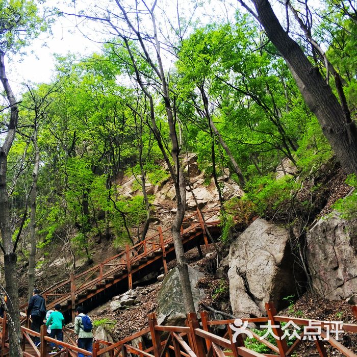 大岭沟猕猴桃谷风景区