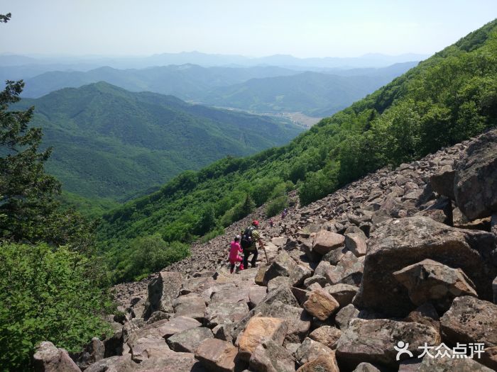 花脖山森林公园图片 - 第13张