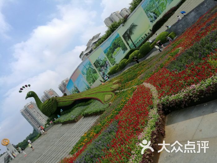 深圳国际园林花卉博览园图片 - 第57张