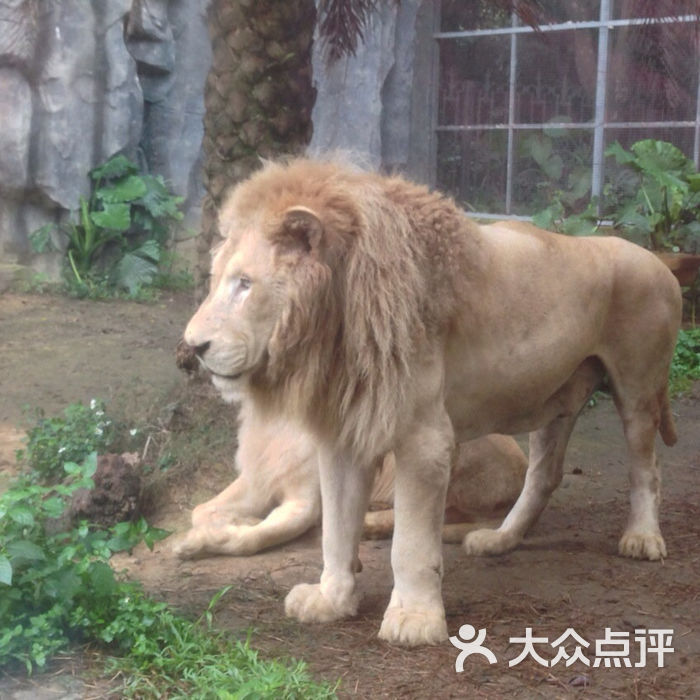 南宁市动物园